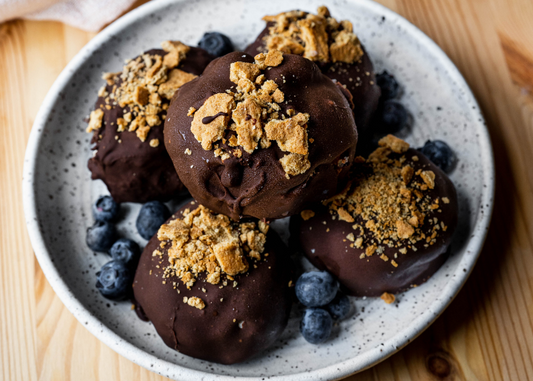 frozen blueberry chocolate dipped yogurt bites