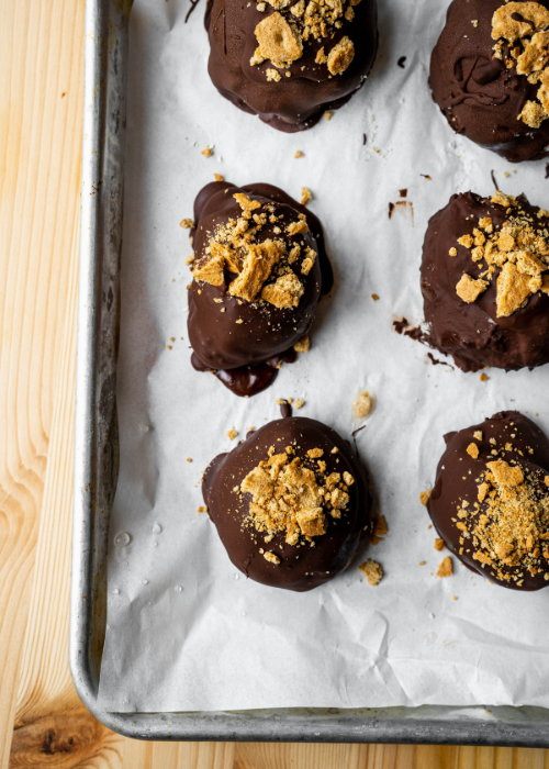 Frozen Blueberry Chocolate Dipped Yogurt Bites Beam 